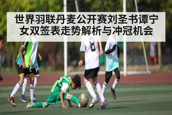 世界羽联丹麦公开赛刘圣书谭宁女双签表走势解析与冲冠机会 - KAIYUN APP