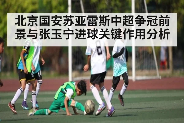 北京国安苏亚雷斯中超争冠前景与张玉宁进球关键作用分析 - KAIYUN APP