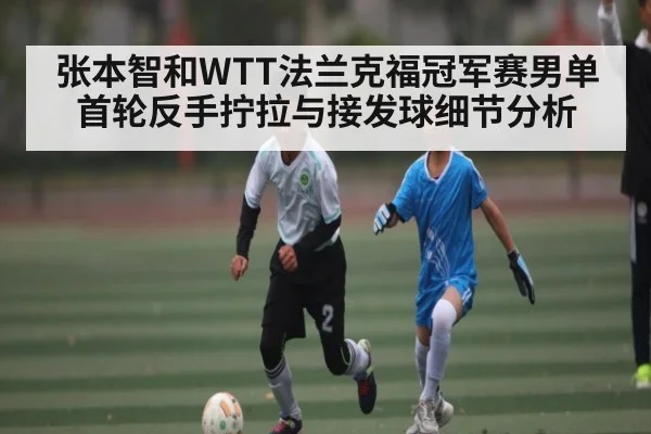 张本智和WTT法兰克福冠军赛男单首轮反手拧拉与接发球细节分析(KAIYUN APP)
